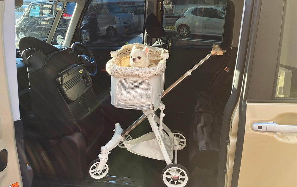 こんなお車を用意しています