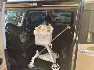 福岡のペットタクシーHappyの新車両ファンクロスにバギーのまま乗車するチワワ