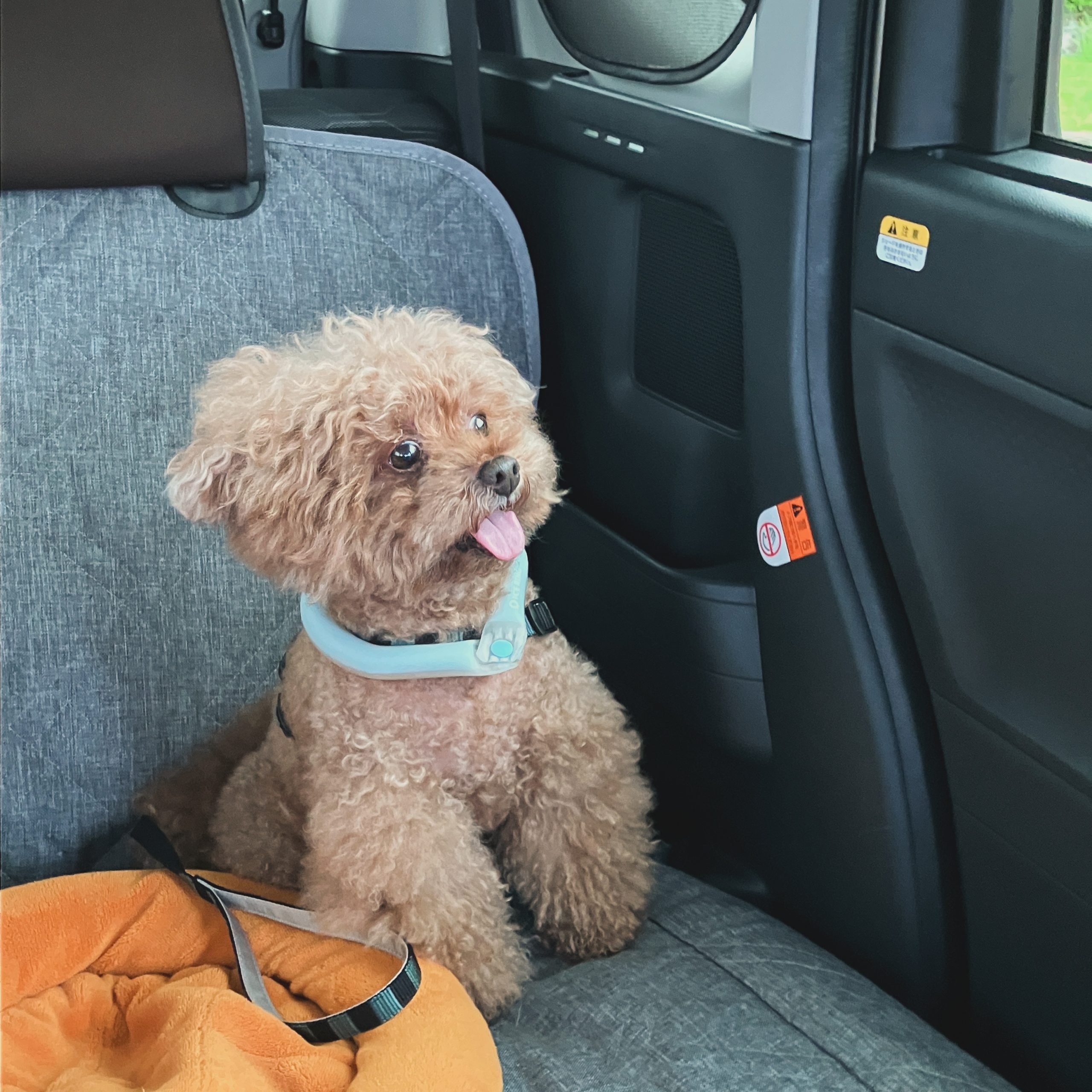 こんなお車を用意しています