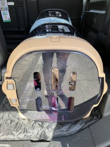 クレートに入ったわんちゃんをペットタクシーでお預かり中