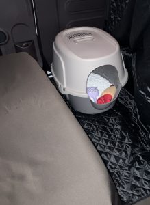 車内に猫用トイレを設置した様子