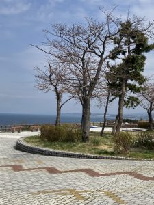 米山SAからの海の景色