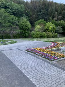 下松SAで咲いている花