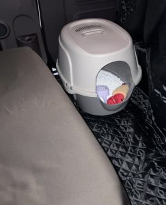 猫 引っ越し ストレス