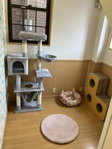 ねこべや店内様子１