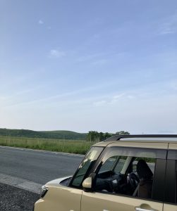 ドライブ中のペットの様子