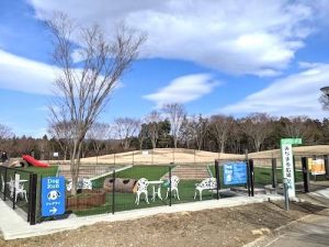 足柄SAでの夜間休憩の様子