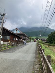 久住・ガンジーファームでお散歩する柴犬さん