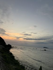 猫の引っ越し輸送の様子